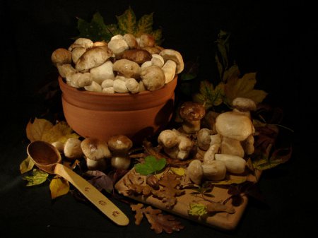 Соление грибов на зиму: рецепты