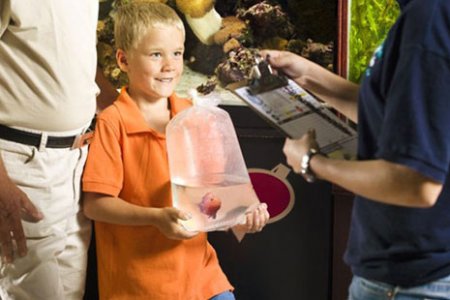 Как выбрать аквариум для ребенка