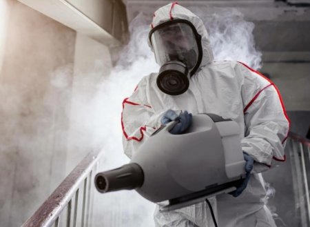 Дератизация помещений: цели, методы и значение санитарной безопасности